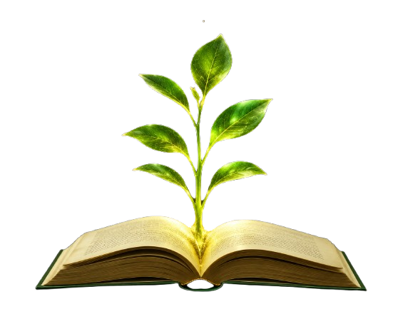 Environment Day Quiz